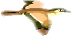 DanTri.XtGem.Com