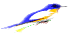 DanTri.XtGem.Com