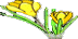 DanTri.XtGem.Com