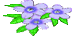 DanTri.XtGem.Com