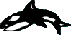 DanTri.XtGem.Com
