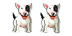 DanTri.XtGem.Com